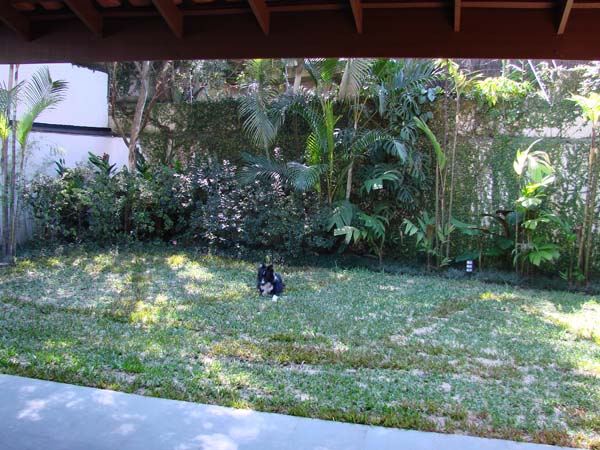 DSC07939